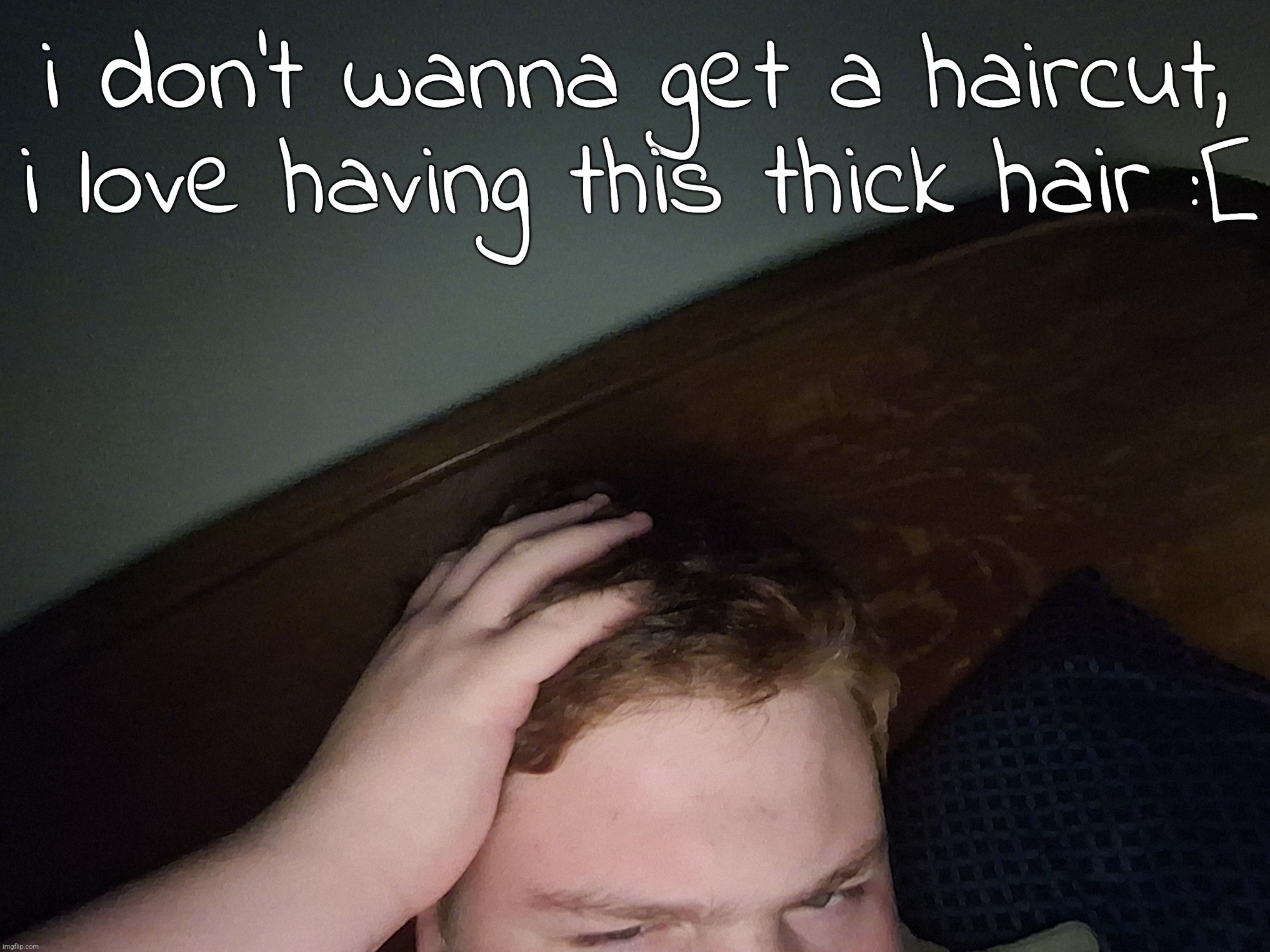 it'd feel even better if it was soft, but i dunno how to do that :( | i don't wanna get a haircut, i love having this thick hair :[ | made w/ Imgflip meme maker