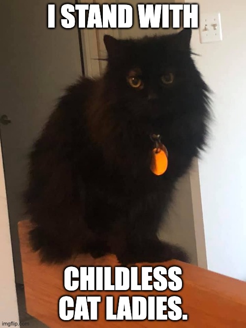 I Stand With Childless Cat Ladies | I STAND WITH; CHILDLESS CAT LADIES. | image tagged in funny cats | made w/ Imgflip meme maker