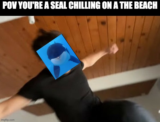 The Orca: I would like this to go please. | POV YOU'RE A SEAL CHILLING ON A THE BEACH | image tagged in markiplier punch | made w/ Imgflip meme maker