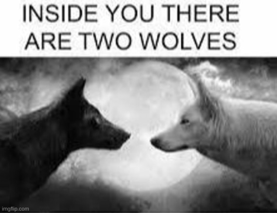 Inside you there are two wolves | image tagged in inside you there are two wolves | made w/ Imgflip meme maker