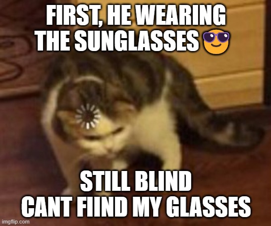 Loading cat | FIRST, HE WEARING THE SUNGLASSES😎; STILL BLIND CANT FIIND MY GLASSES | image tagged in loading cat | made w/ Imgflip meme maker