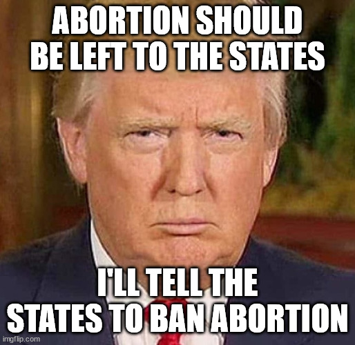 Abortion Should Be Left to the States | ABORTION SHOULD BE LEFT TO THE STATES; I'LL TELL THE STATES TO BAN ABORTION | image tagged in donald trump,trump,abortion,politics,women,religion | made w/ Imgflip meme maker