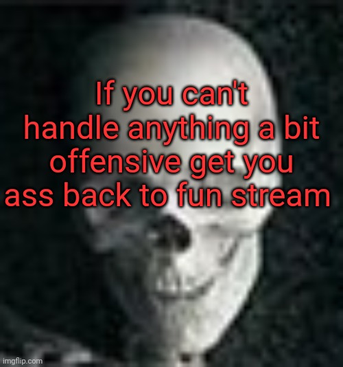 Skull | If you can't handle anything a bit offensive get you ass back to fun stream | image tagged in skull | made w/ Imgflip meme maker