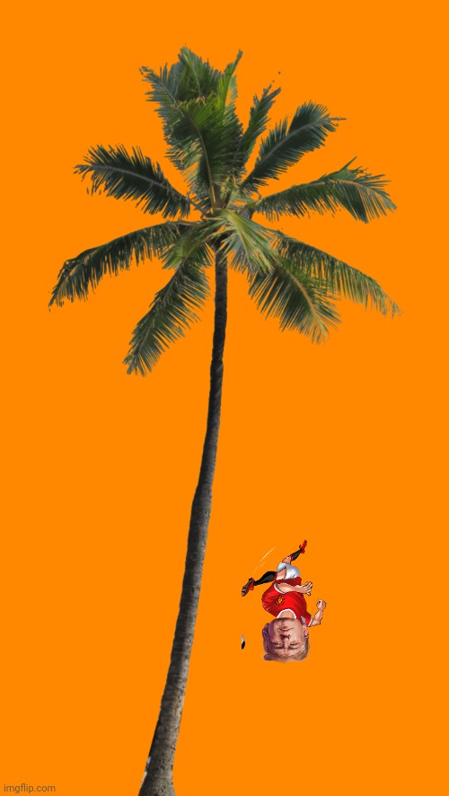 Some reckless fool just fell out of a coconut tree. | image tagged in coconut palm png,kamala harris,mother,saying | made w/ Imgflip meme maker