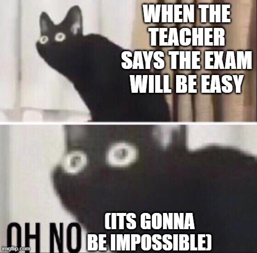 OH NONONONOONO | WHEN THE TEACHER SAYS THE EXAM WILL BE EASY; (ITS GONNA BE IMPOSSIBLE) | image tagged in oh no cat | made w/ Imgflip meme maker