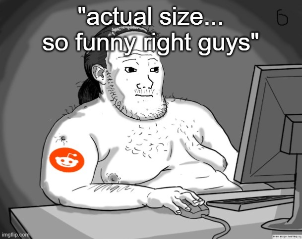 Average Redditor | "actual size... so funny right guys" | image tagged in average redditor | made w/ Imgflip meme maker