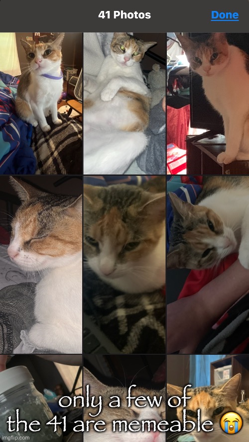 only a few of the 41 are memeable 😭 | made w/ Imgflip meme maker