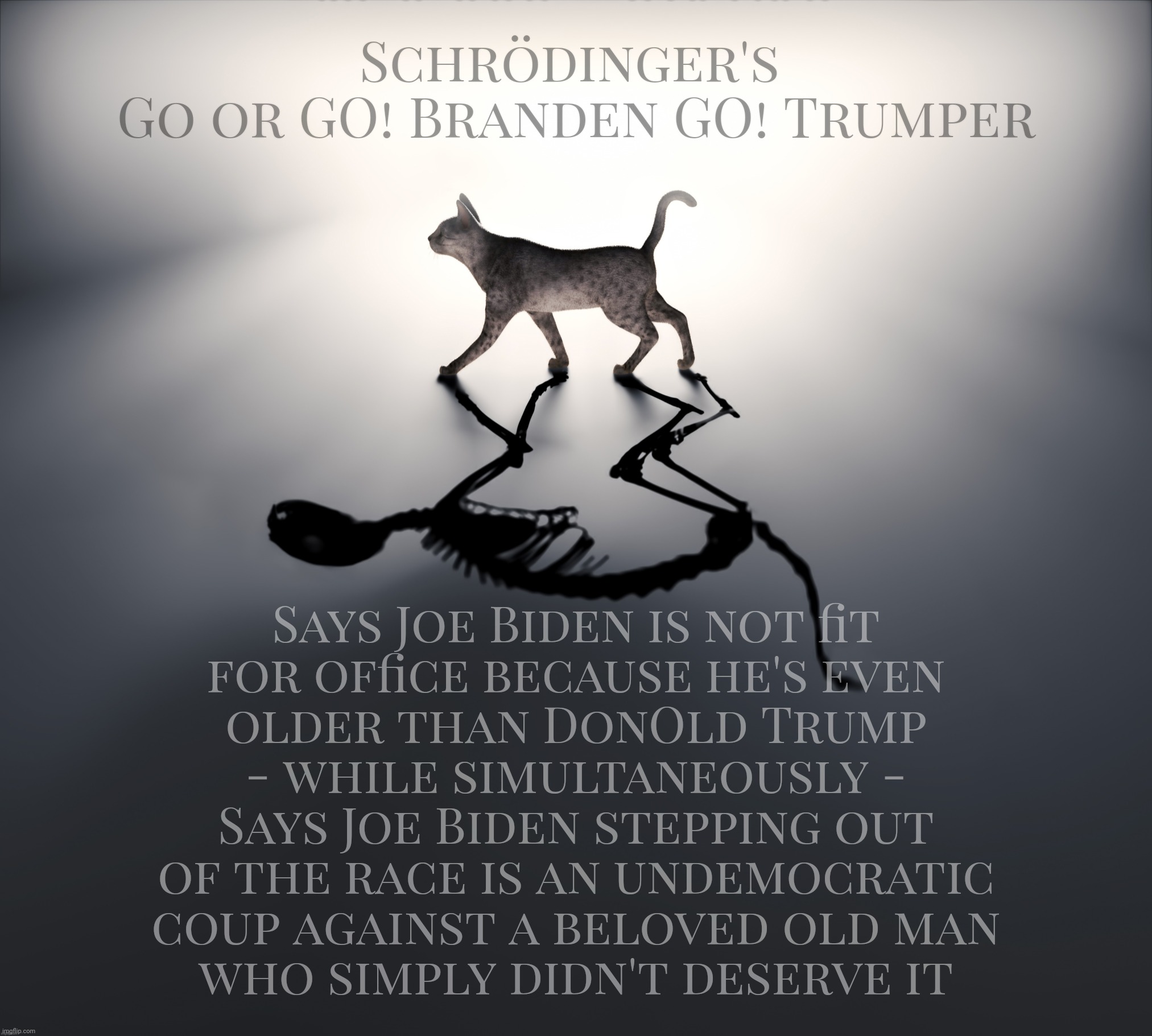 To old to be or not too old to be, that is the MAGAt derp question,,, | Schrödinger's 
Go or GO! Branden GO! Trumper; Says Joe Biden is not fit
for office because he's even
older than DonOld Trump
- while simultaneously -
Says Joe Biden stepping out
of the race is an undemocratic
coup against a beloved old man
who simply didn't deserve it | image tagged in schrodinger's cat,biden is too old to run,why won't the meanypants dems let him run,magat confusion,make up your minds,derp | made w/ Imgflip meme maker