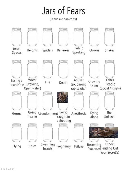 Jar of fears clear version | image tagged in jar of fears clear version | made w/ Imgflip meme maker