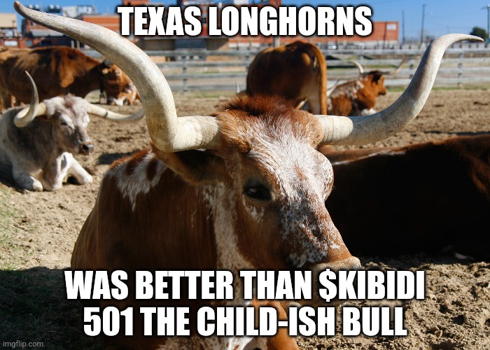 Cry foxy 501 for killing and using parasites on us | TEXAS LONGHORNS; WAS BETTER THAN $KIBIDI 501 THE CHILD-ISH BULL | image tagged in texas longhorns | made w/ Imgflip meme maker