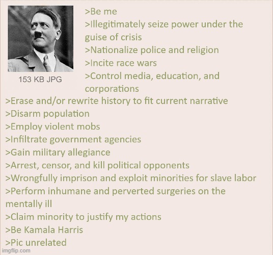 Kamallin' the Kettle Black | image tagged in kamala harris,liberal hypocrisy,nazi,adolf hitler,4chan | made w/ Imgflip meme maker