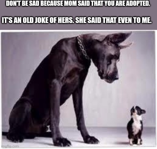 Big Dog, Little Dog | DON'T BE SAD BECAUSE MOM SAID THAT YOU ARE ADOPTED. IT'S AN OLD JOKE OF HERS. SHE SAID THAT EVEN TO ME. | image tagged in big dog little dog | made w/ Imgflip meme maker