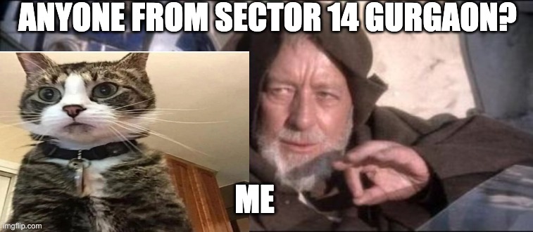 ANYONE from sector 14  G ? | ANYONE FROM SECTOR 14 GURGAON? ME | image tagged in memes,these aren't the droids you were looking for | made w/ Imgflip meme maker