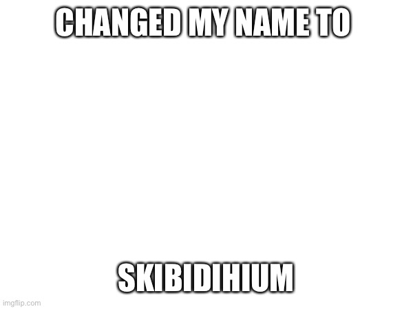 CHANGED MY NAME TO; SKIBIDIHIUM | image tagged in memes | made w/ Imgflip meme maker