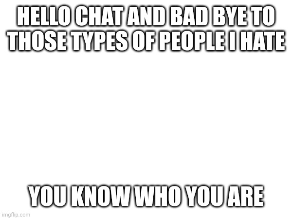 HELLO CHAT AND BAD BYE TO THOSE TYPES OF PEOPLE I HATE; YOU KNOW WHO YOU ARE | made w/ Imgflip meme maker
