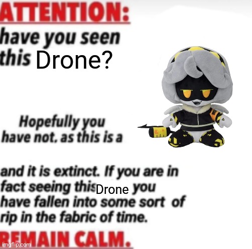 Attention: Have you seen this... | Drone? Drone | image tagged in attention have you seen this | made w/ Imgflip meme maker