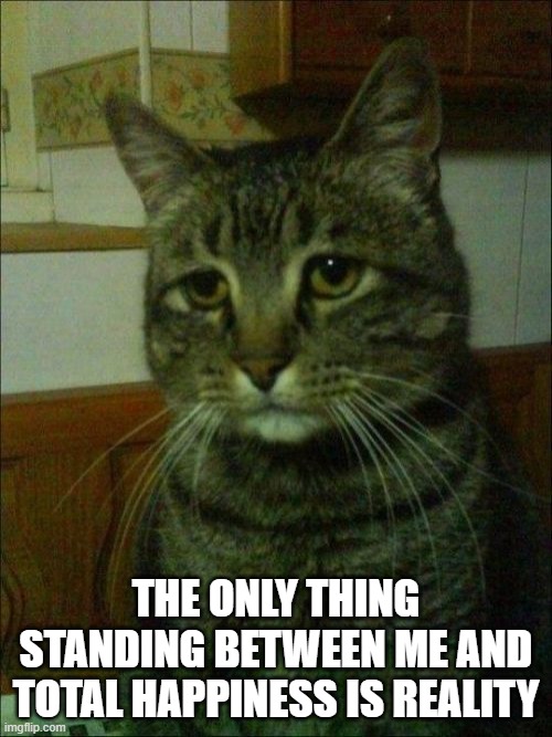 Depressed Cat | THE ONLY THING STANDING BETWEEN ME AND TOTAL HAPPINESS IS REALITY | image tagged in memes,depressed cat | made w/ Imgflip meme maker