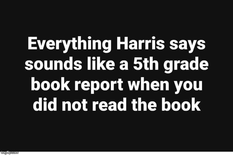 Kamala Harris: When you change the puppet but not the puppeteer. | image tagged in kamala harris,monkey puppet,puppeteer | made w/ Imgflip meme maker