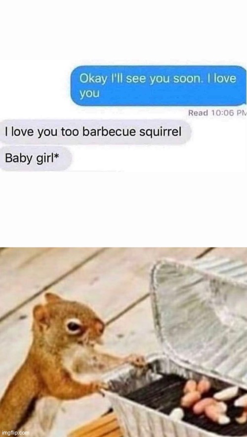 Stupid auto-cowreck | image tagged in squirrel,bbq,grill,girl,autocorrect | made w/ Imgflip meme maker