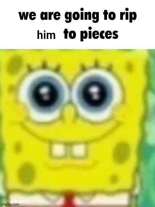 spangledob | him | image tagged in spangledob | made w/ Imgflip meme maker