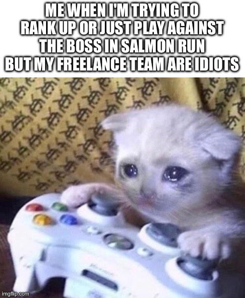 FR, I need to play with people in a VC | ME WHEN I'M TRYING TO RANK UP OR JUST PLAY AGAINST THE BOSS IN SALMON RUN BUT MY FREELANCE TEAM ARE IDIOTS | image tagged in sad gamer cat,splatoon,salmon,run,teamwork,bad team | made w/ Imgflip meme maker
