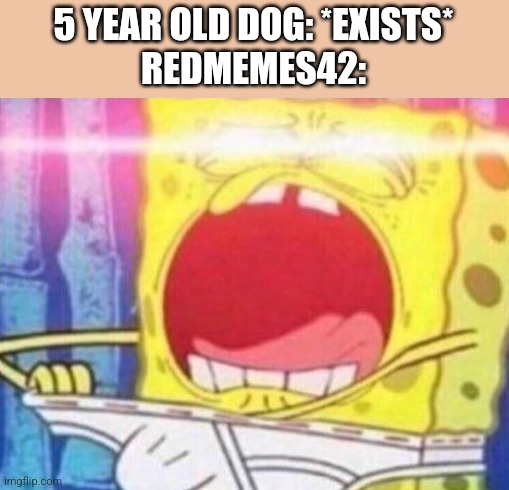Spongebob reach into underwear meme | 5 YEAR OLD DOG: *EXISTS*
REDMEMES42: | image tagged in spongebob reach into underwear meme | made w/ Imgflip meme maker