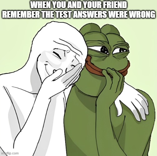 test answers | WHEN YOU AND YOUR FRIEND REMEMBER THE TEST ANSWERS WERE WRONG | image tagged in memes | made w/ Imgflip meme maker