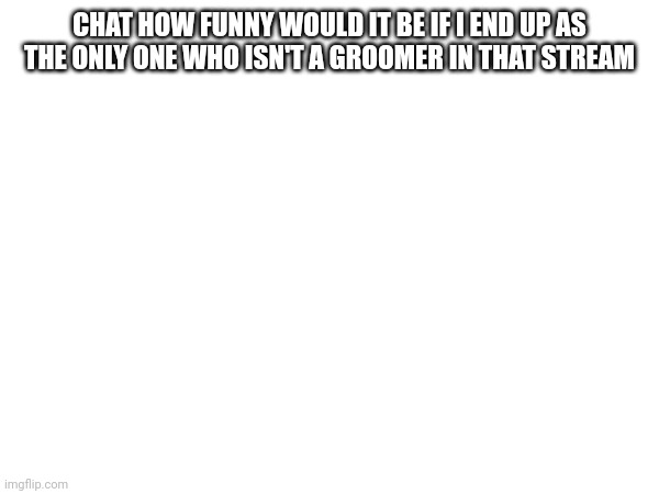 CHAT HOW FUNNY WOULD IT BE IF I END UP AS THE ONLY ONE WHO ISN'T A GROOMER IN THAT STREAM | made w/ Imgflip meme maker