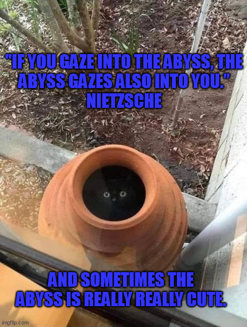 The Abyss | "IF YOU GAZE INTO THE ABYSS, THE ABYSS GAZES ALSO INTO YOU.”
 NIETZSCHE; AND SOMETIMES THE ABYSS IS REALLY REALLY CUTE. | image tagged in cute cats | made w/ Imgflip meme maker