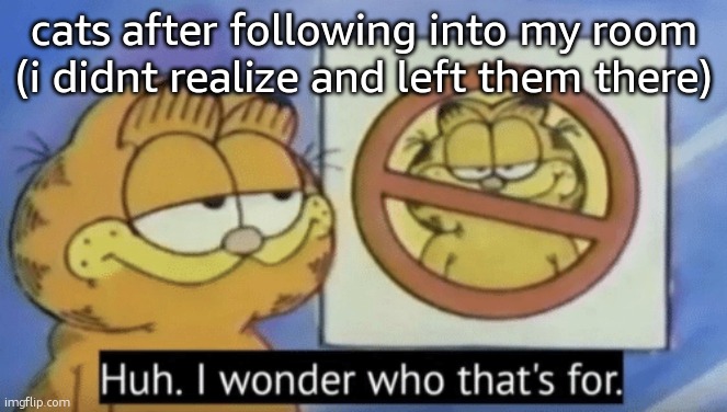 why are cats even like this | cats after following into my room (i didnt realize and left them there) | image tagged in garfield wonders,cats,relatable | made w/ Imgflip meme maker