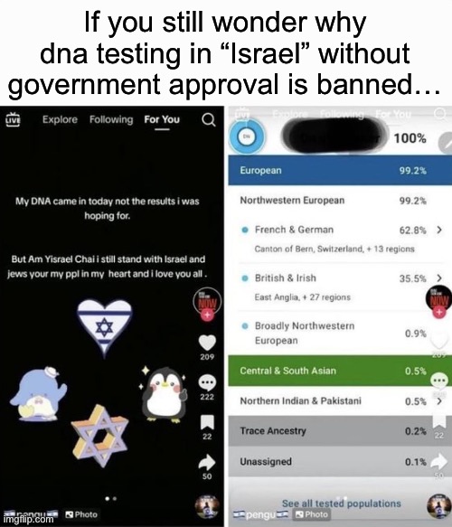 Guys I found the most middle eastern Zionist | If you still wonder why dna testing in “Israel” without government approval is banned… | made w/ Imgflip meme maker