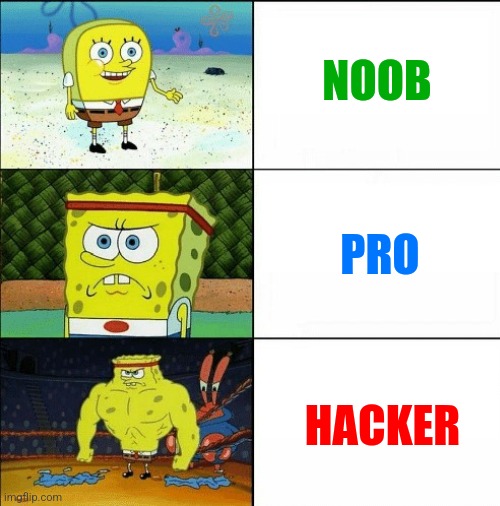 Noobs, Pros, and Hackers | NOOB; PRO; HACKER | image tagged in memes,noob,pro,hacker,youtube,three | made w/ Imgflip meme maker