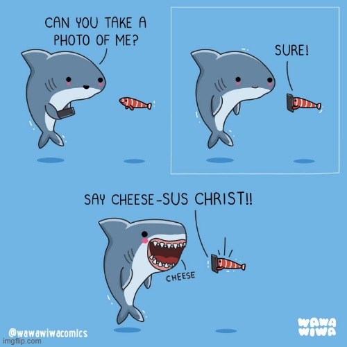 This one made me laugh LOL | image tagged in shark,fish,photo,cheese,teeth,smile | made w/ Imgflip meme maker