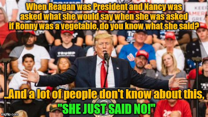 Ya don't say do ya? | When Reagan was President and Nancy was asked what she would say when she was asked if Ronny was a vegetable, do you know what she said? ..And a lot of people don't know about this, "SHE JUST SAID NO!" | image tagged in trump logic,illogical,raygun,just say no | made w/ Imgflip meme maker