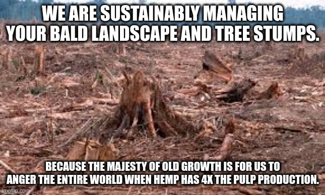 WE ARE SUSTAINABLY MANAGING YOUR BALD LANDSCAPE AND TREE STUMPS. BECAUSE THE MAJESTY OF OLD GROWTH IS FOR US TO ANGER THE ENTIRE WORLD WHEN HEMP HAS 4X THE PULP PRODUCTION. | made w/ Imgflip meme maker