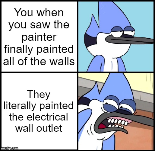 you had one job and you failed | You when you saw the painter finally painted all of the walls; They literally painted the electrical wall outlet | image tagged in mordecai disgusted,you had one job,regular show | made w/ Imgflip meme maker