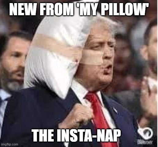 Trump pillow | NEW FROM 'MY PILLOW'; THE INSTA-NAP | image tagged in trump,pillow,insta-nap,ear | made w/ Imgflip meme maker