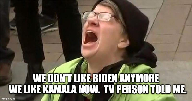 crying liberal | WE DON'T LIKE BIDEN ANYMORE
  WE LIKE KAMALA NOW.  TV PERSON TOLD ME. | image tagged in crying liberal | made w/ Imgflip meme maker