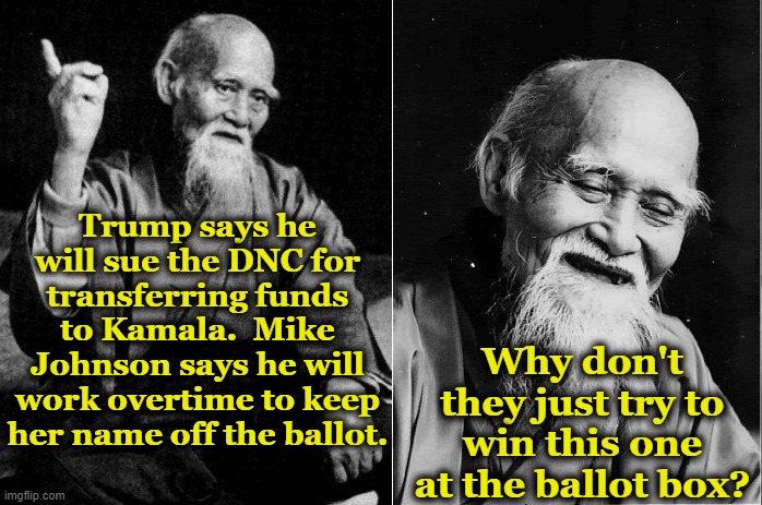 GOP Fears a Fair Election | Trump says he will sue the DNC for transferring funds to Kamala.  Mike Johnson says he will work overtime to keep her name off the ballot. Why don't they just try to win this one at the ballot box? | image tagged in wise man,nevertrump meme,maga,basket of deplorables,donald trump approves,trump | made w/ Imgflip meme maker