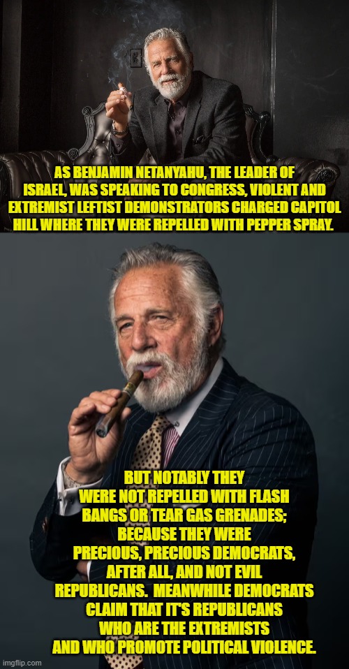 I guess it's a matter of 'contest', eh Dems? | AS BENJAMIN NETANYAHU, THE LEADER OF ISRAEL, WAS SPEAKING TO CONGRESS, VIOLENT AND EXTREMIST LEFTIST DEMONSTRATORS CHARGED CAPITOL HILL WHERE THEY WERE REPELLED WITH PEPPER SPRAY. BUT NOTABLY THEY WERE NOT REPELLED WITH FLASH BANGS OR TEAR GAS GRENADES; BECAUSE THEY WERE PRECIOUS, PRECIOUS DEMOCRATS, AFTER ALL, AND NOT EVIL REPUBLICANS.  MEANWHILE DEMOCRATS CLAIM THAT IT'S REPUBLICANS WHO ARE THE EXTREMISTS AND WHO PROMOTE POLITICAL VIOLENCE. | image tagged in yep | made w/ Imgflip meme maker