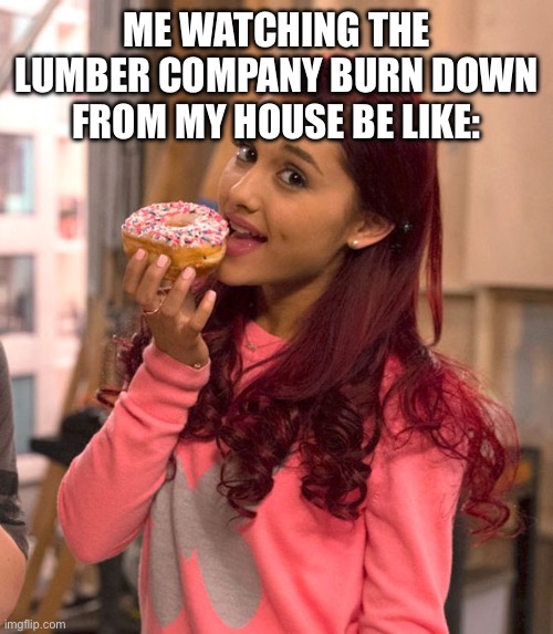 :D | ME WATCHING THE LUMBER COMPANY BURN DOWN FROM MY HOUSE BE LIKE: | image tagged in ariana grande donut,memes,im stupid | made w/ Imgflip meme maker