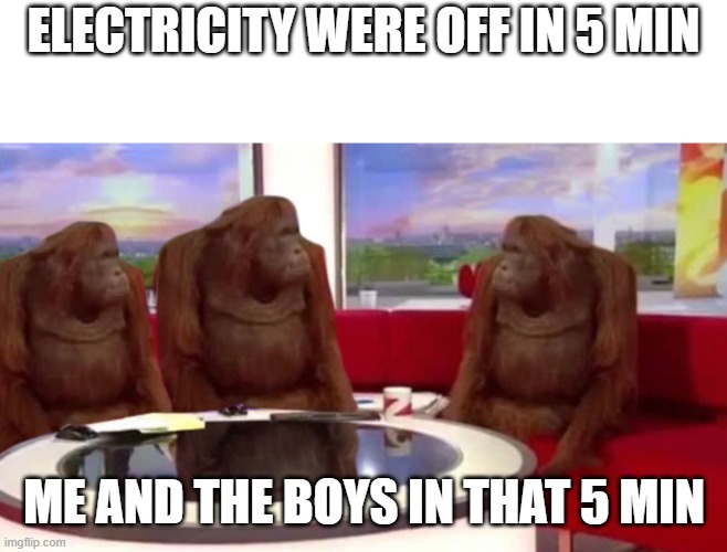 monkey | ELECTRICITY WERE OFF IN 5 MIN; ME AND THE BOYS IN THAT 5 MIN | image tagged in orangutan interview | made w/ Imgflip meme maker