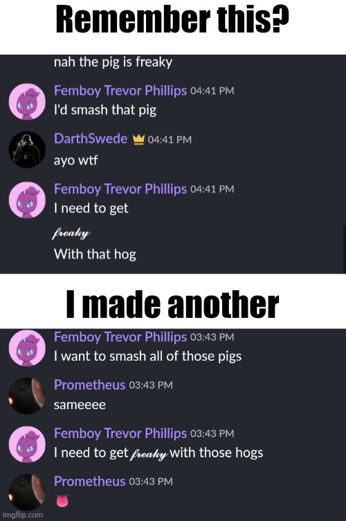 Remember this? I made another | image tagged in enderparrot8 getting freaky | made w/ Imgflip meme maker
