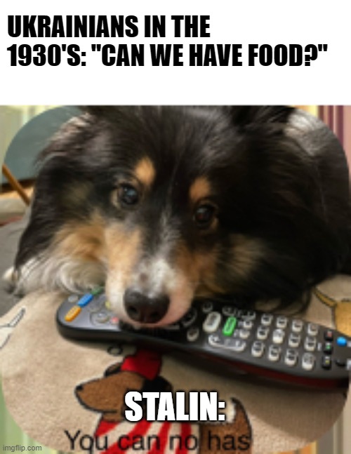 Holodomor humor | UKRAINIANS IN THE 1930'S: "CAN WE HAVE FOOD?"; STALIN: | image tagged in you can no has,historical meme,funny,sad but true,sad,memes | made w/ Imgflip meme maker
