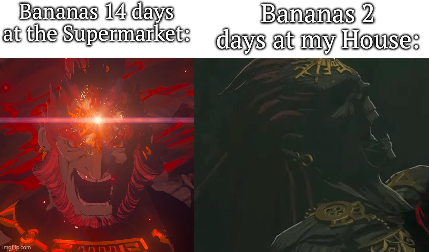 I guess the Bananas hate any house. | Bananas 14 days at the Supermarket:; Bananas 2 days at my House: | image tagged in memes,funny,bananas | made w/ Imgflip meme maker