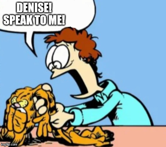 Deflated garfeild | DENISE! SPEAK TO ME! | image tagged in deflated garfeild | made w/ Imgflip meme maker