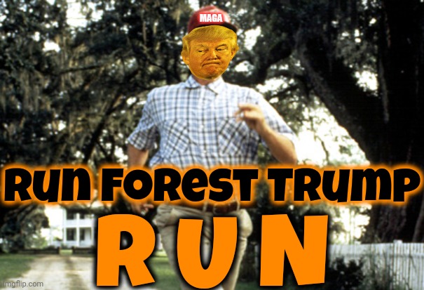 Stupid Is As Stupid Does | MAGA; Run Forest Trump; R U N | image tagged in forest gump running,stupid is as stupid does,trump unfit unqualified dangerous,lock him up,trump is a convicted felon,memes | made w/ Imgflip meme maker