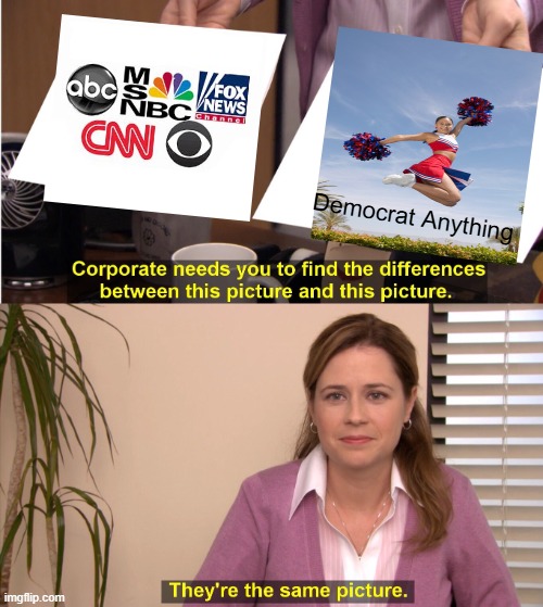 Wayyyy beyond biased | Democrat Anything | image tagged in memes,they're the same picture | made w/ Imgflip meme maker