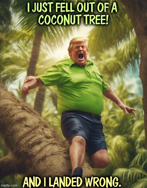 I JUST FELL OUT OF A 
COCONUT TREE! AND I LANDED WRONG. | image tagged in kamala harris,coconut tree,trump,clumsy,old | made w/ Imgflip meme maker