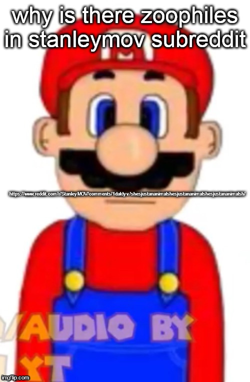 Mario | why is there zoophiles in stanleymov subreddit; https://www.reddit.com/r/StanleyMOV/comments/1daklyv/shesjustananimalshesjustananimalshesjustananimalsh/ | image tagged in mario | made w/ Imgflip meme maker